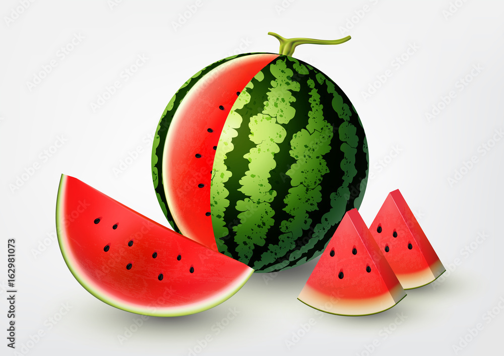 Watermelon and Sliced watermelon set, fruit vector illustration