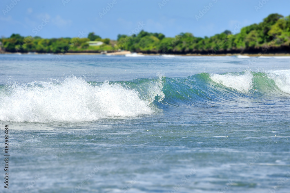 Beach and tropical ocean