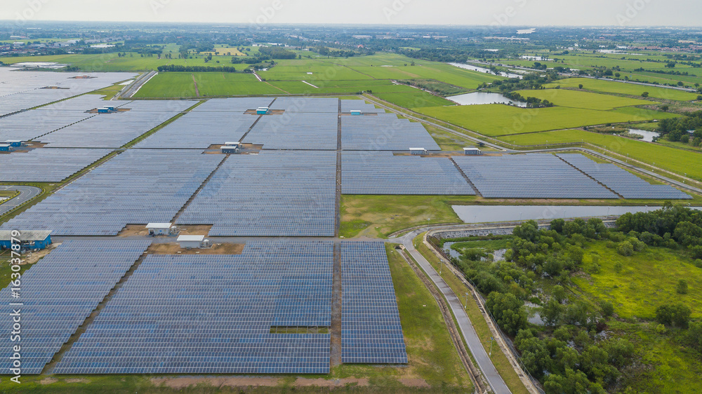 Aerial view of solar panels in solar farm for green energy from drone.