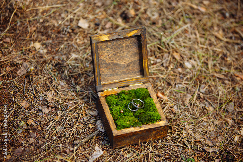 A pair of wedding rings lying in a wooden box. Wedding decoration. Symbol of family, unity and love