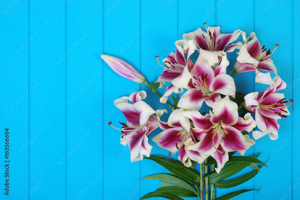  lily flowers on wooden planks