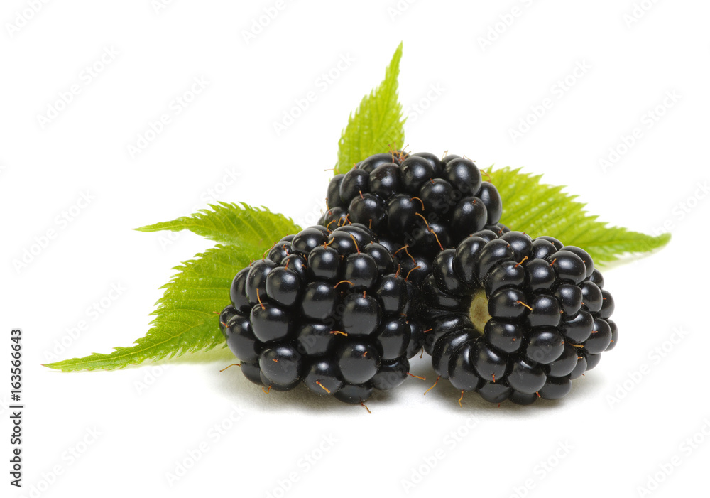 Blackberries with leaves