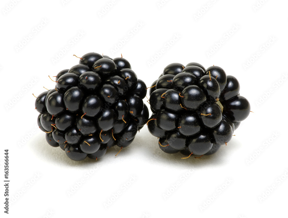 Blackberry isolated on white