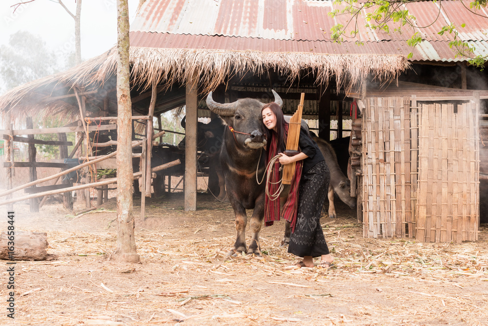 The lives of women with buffalo in the countryside,Asian girl wearing traditional Thai dress at farm