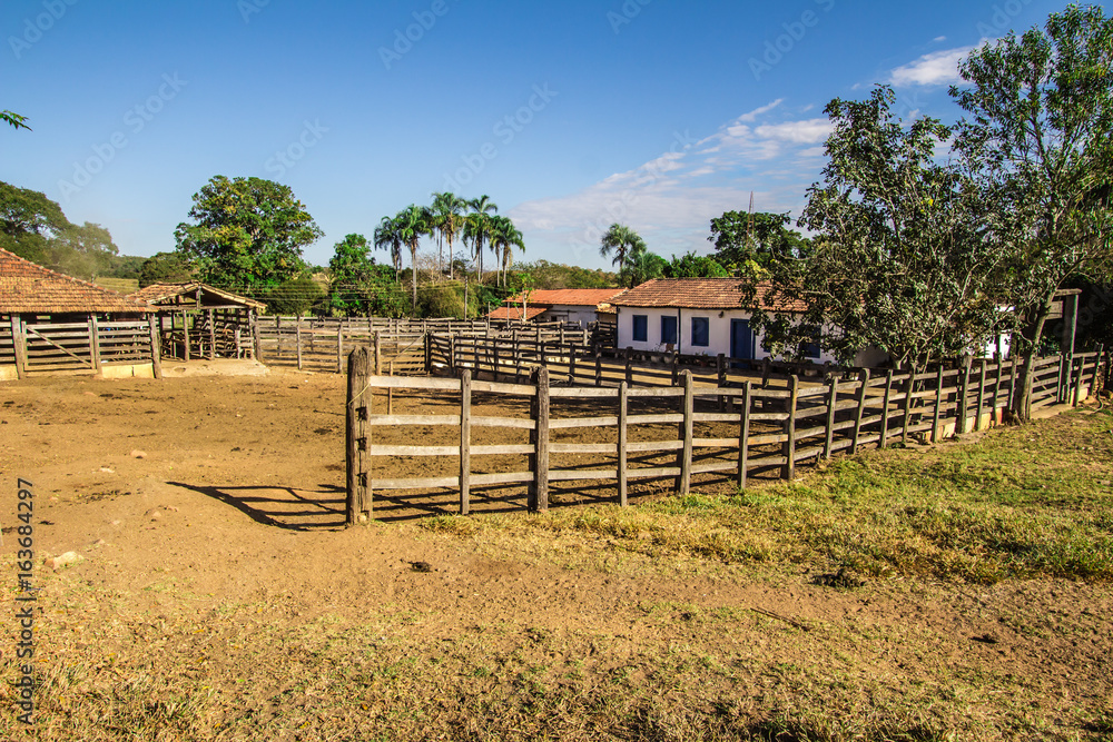 Corral. Brazilian Farm