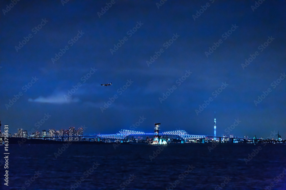 東京の海