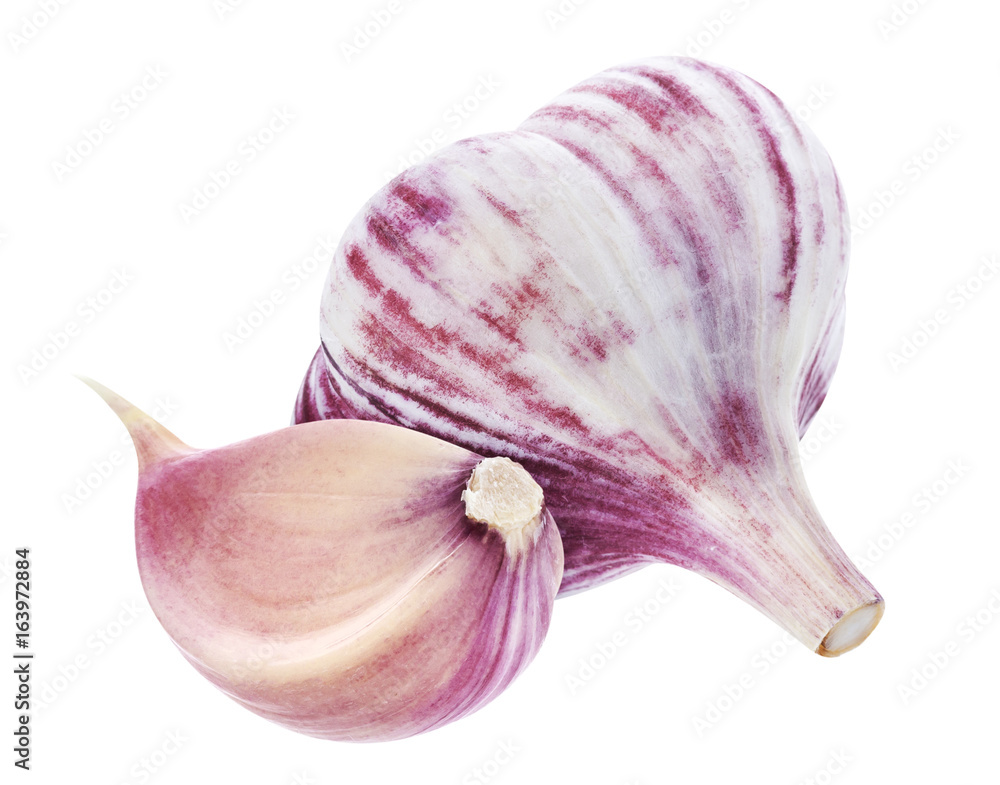 Isolated garlic. Whole garlic and clove isolated on white background