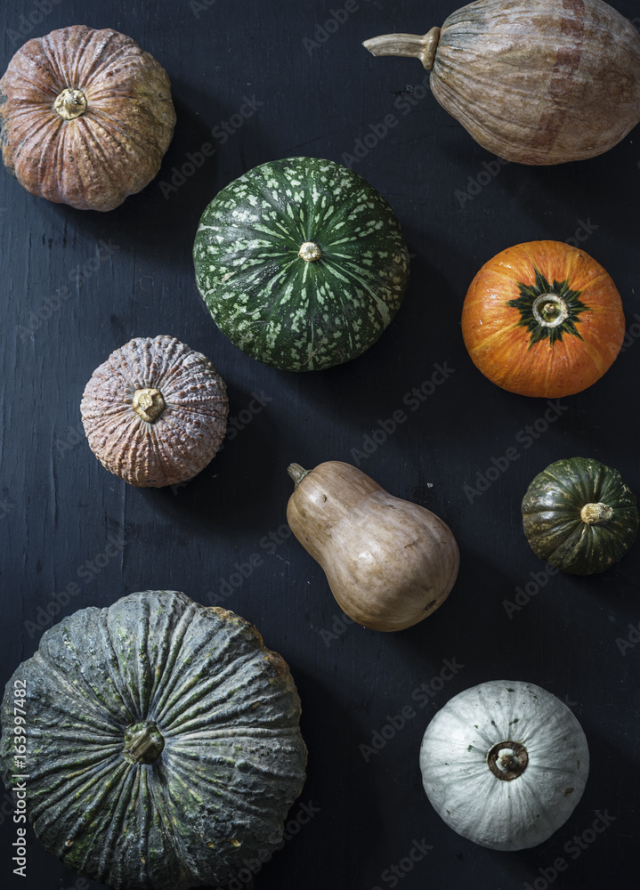 Aerial view of diverse fresh pumpkins