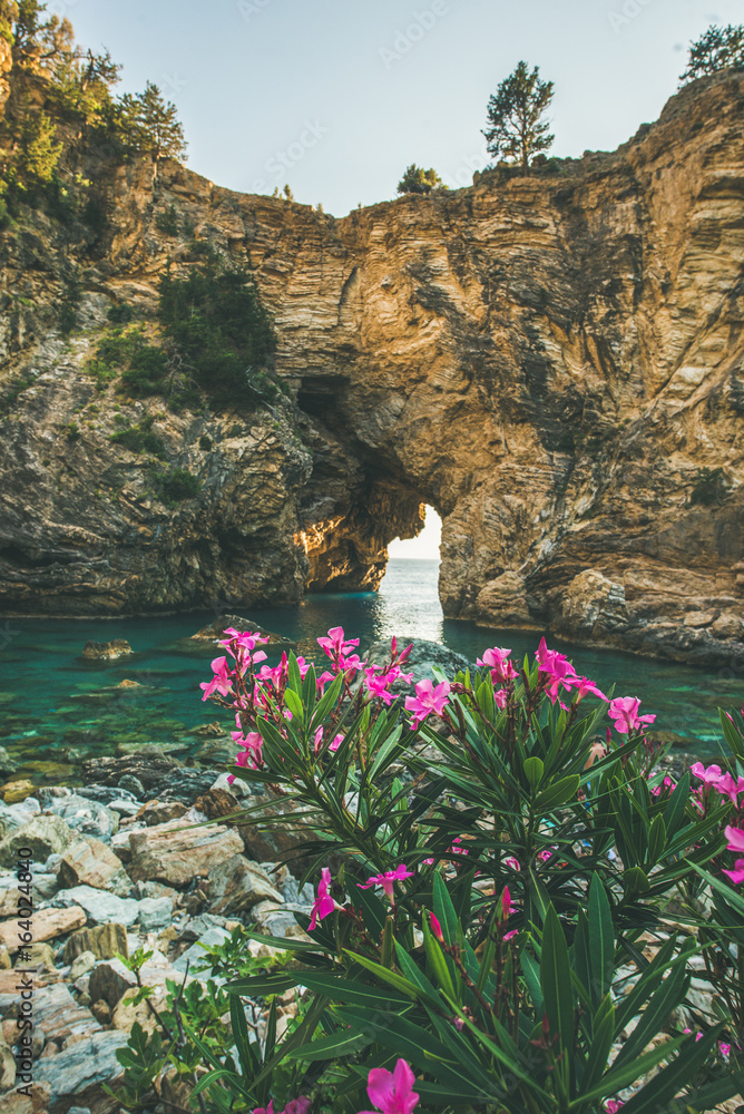 Blooming Rhododendron tree in picturesque sea bay with archway in the rocks near Antiocheia Ad Cragu