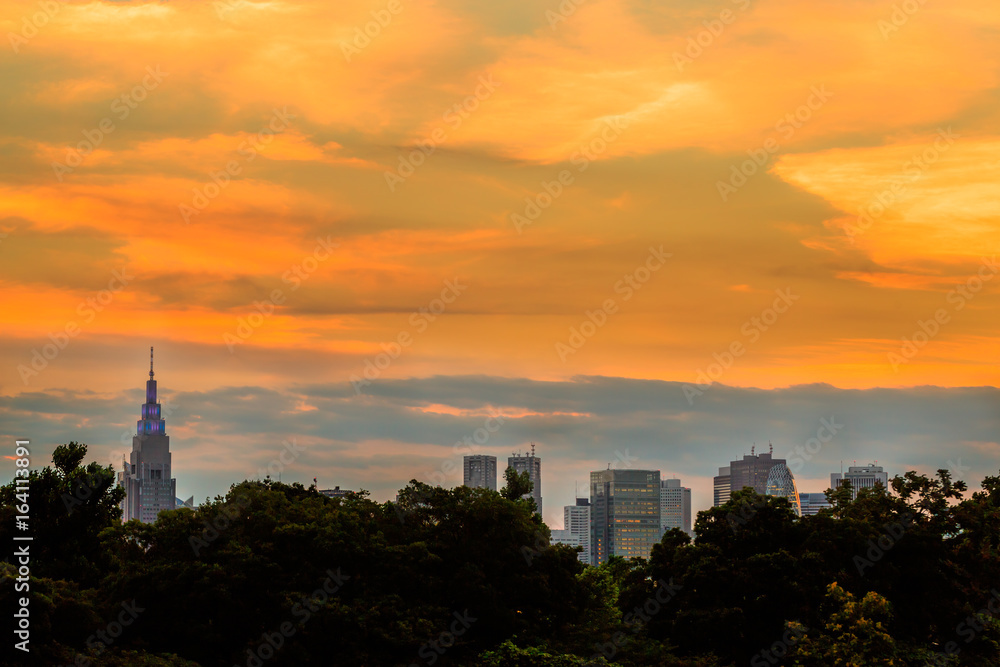 東京の空