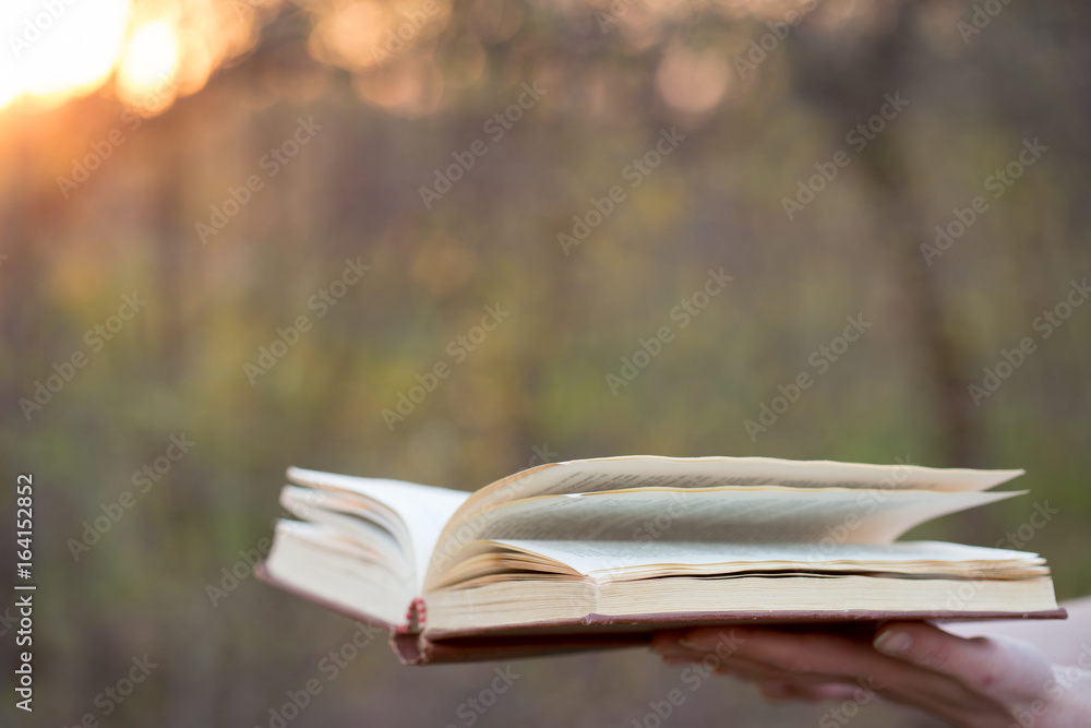 Education and wisdom concept - open book under sunlight