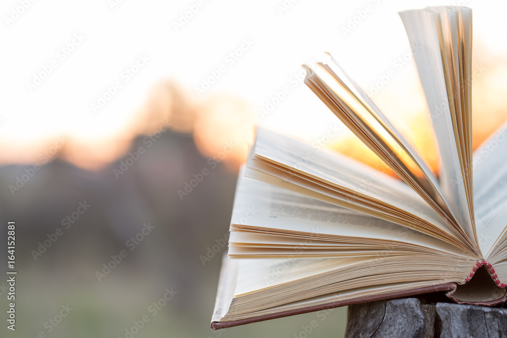 Education and wisdom concept - open book under sunlight