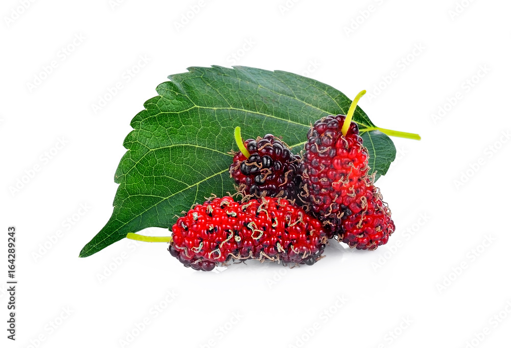 Mulberry with leaf Isolated on white background