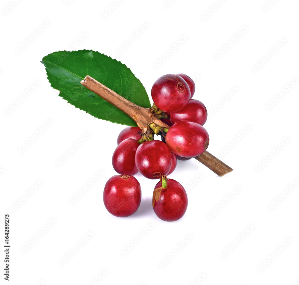 Red coffee beans isolated on white background