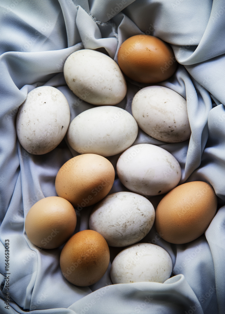 Closeup of fresh organic various eggs