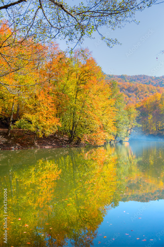 Autumn landscape in (seven lakes) Yedigoller Park Bolu, Turkey