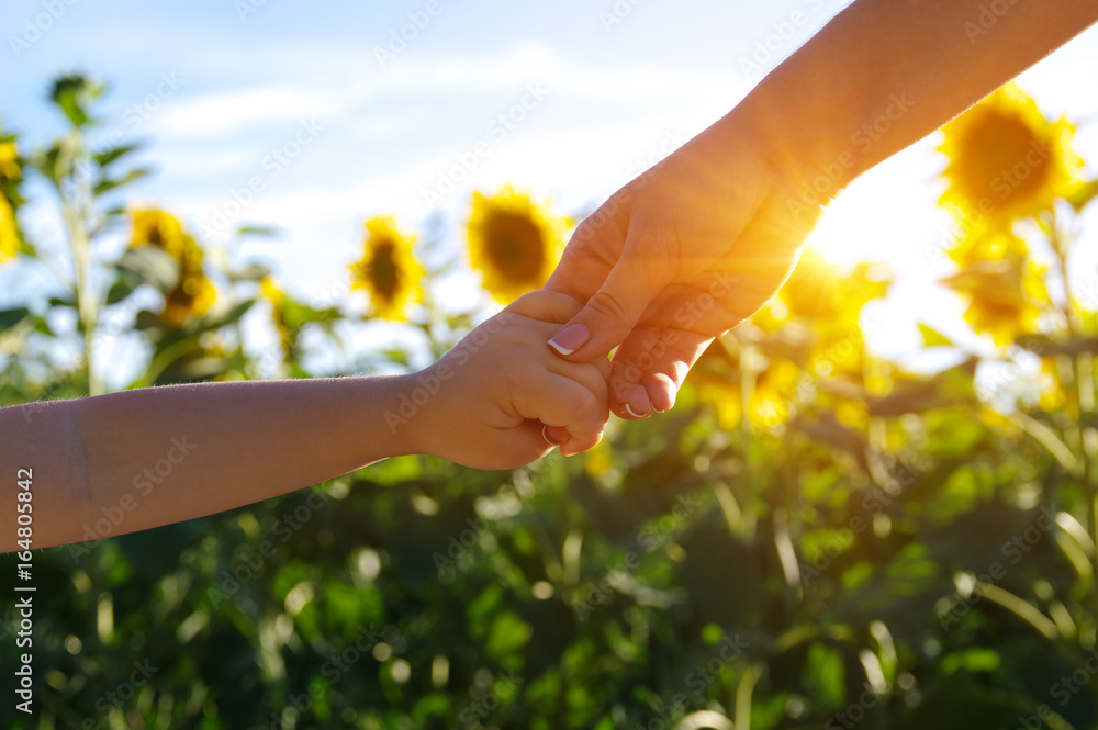 Hands on the field of sunflowers