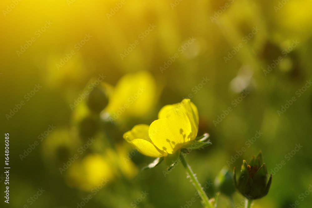 春暖花开