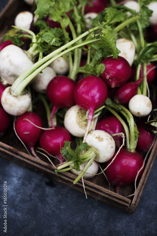 Closeup of fresh organic radishes and white turnips