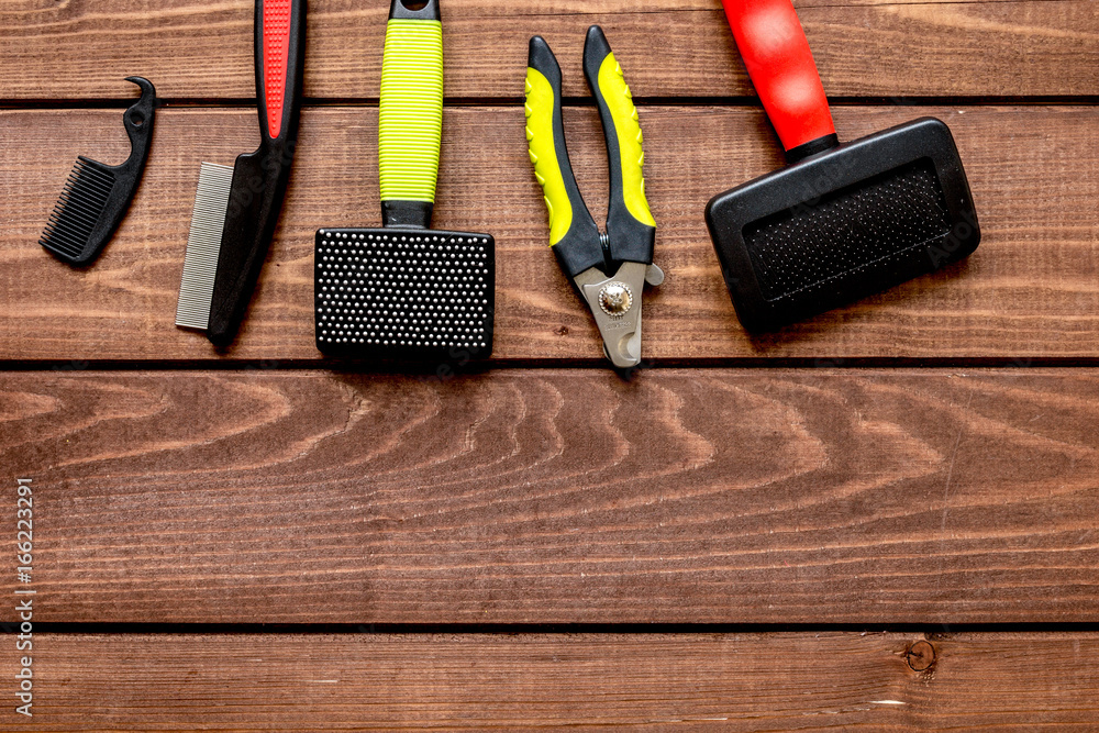 concept pet care and training on wooden background top view