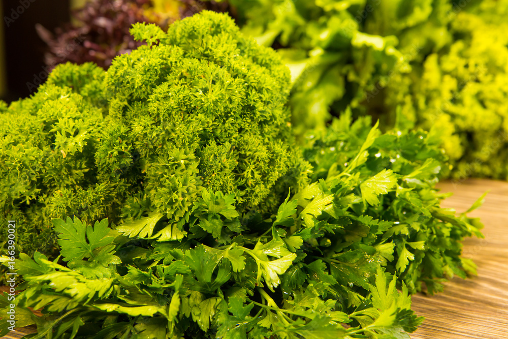 Fresh green parsley on a wooden background. Seasoning for the kitchen.