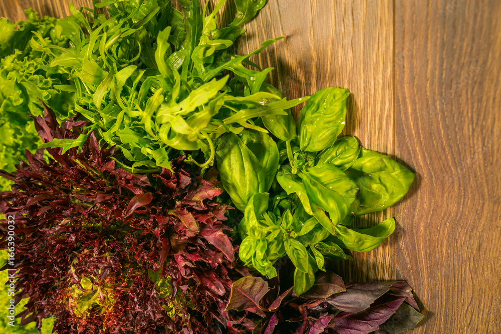 Leaves of lettuce and basil on a wooden background. Seasoning for the kitchen.