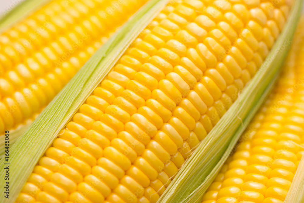 Closeup of Fresh corn on cobs on wooden table.