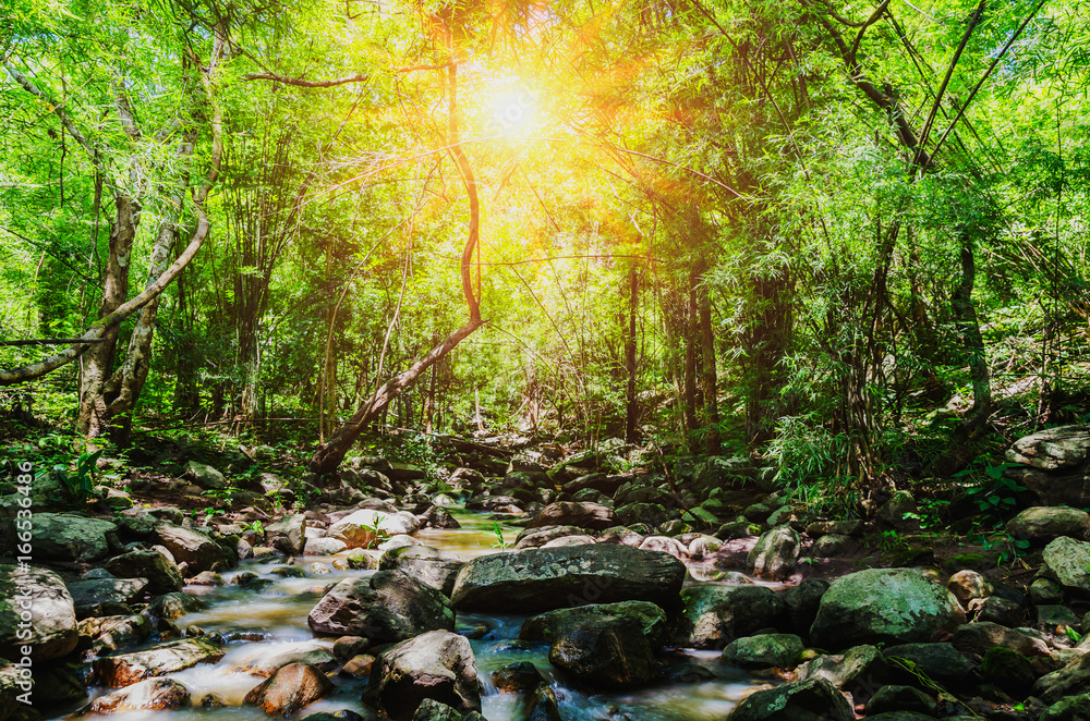 deep forest waterfall on mountain and sunshine in thailand