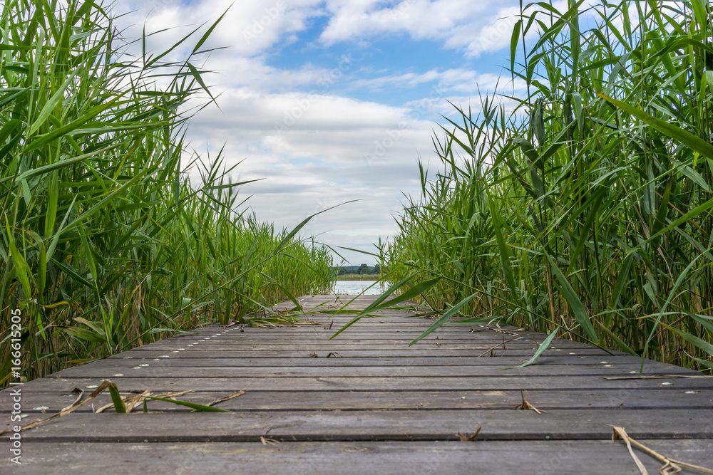 Jetty at a lake, beautiful water landscape