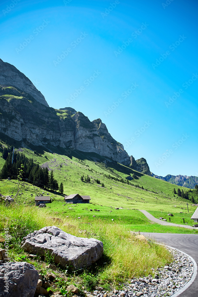 Swiss Alps landscape