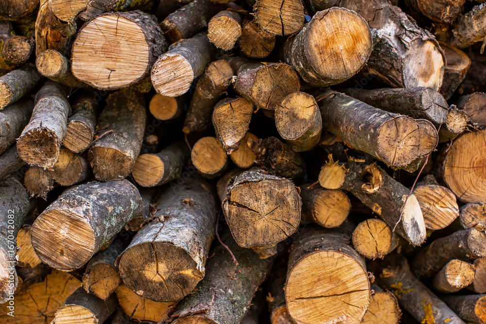 Wooden logs. Cross section of the tree. Folded firewood for the winter. Trunks of trees.