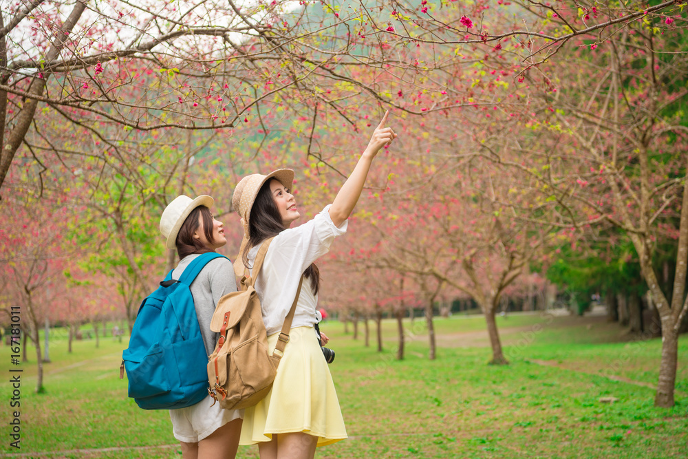 年轻的女性背包客参观日本著名的樱花树公园，指着美丽的樱花