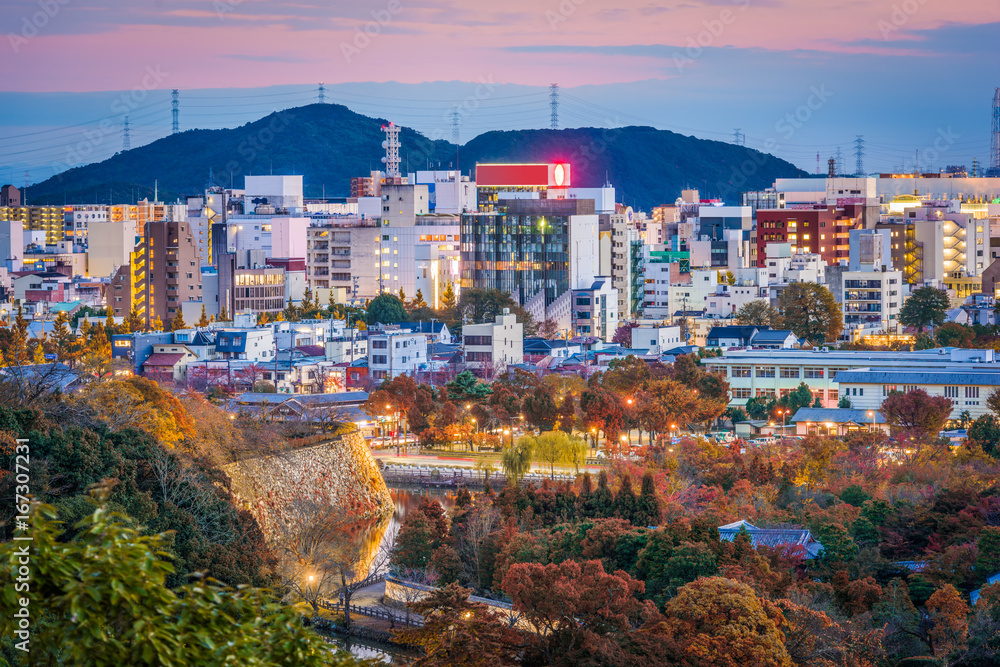 日本姬路城市景观