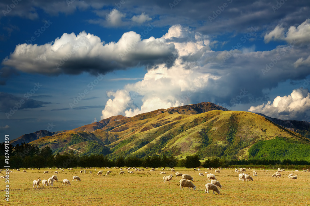 Mountain landscape