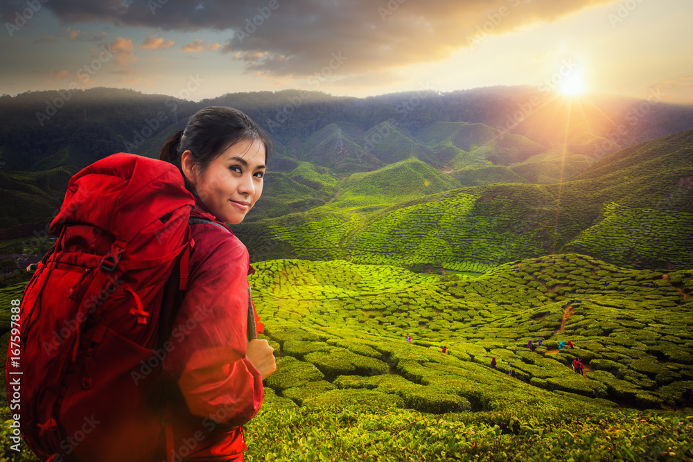 亚洲女士背包旅行卡梅伦高地的绿茶厂