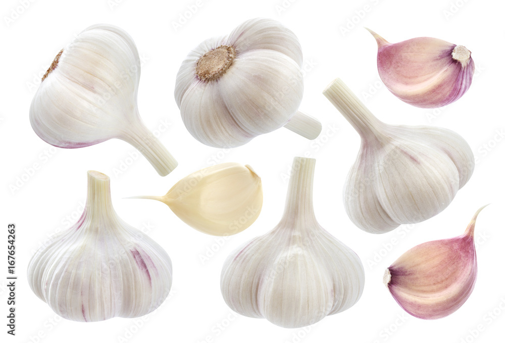 Garlic isolated on white background. Collection