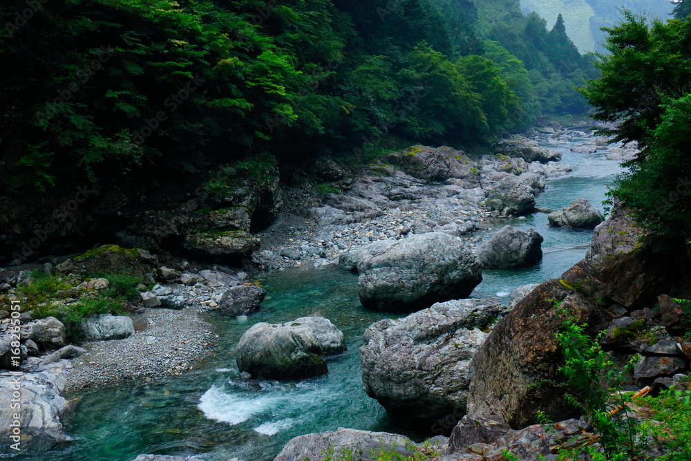 美しい渓流　天川村