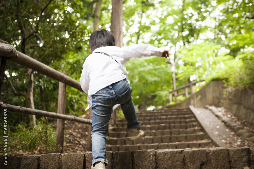 The boy climbing the stairs in the park