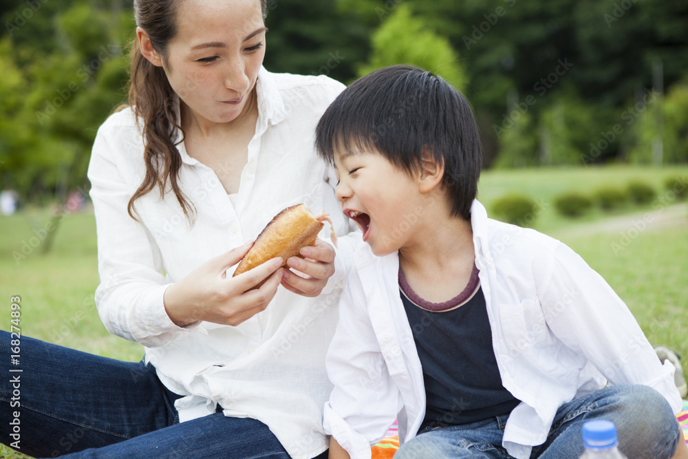 妈妈和男孩在公园野餐