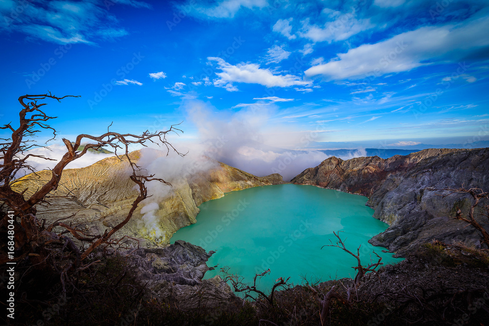 印度尼西亚爪哇岛的Kawah Ijen火山，蓝天背景下有枯树。