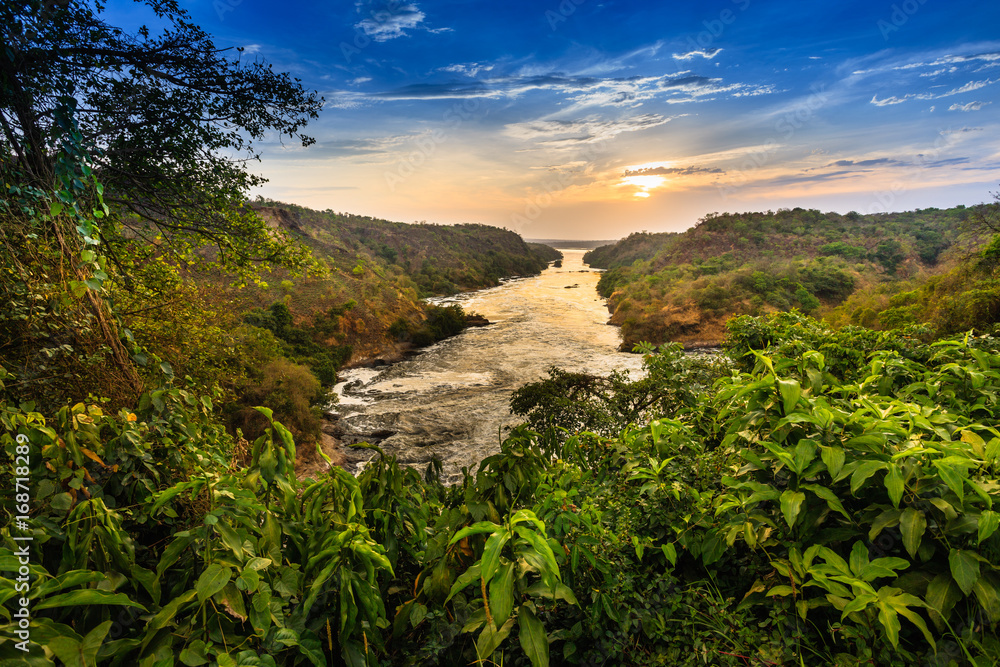 Nile river - Murchison Falls N.P. - Uganda