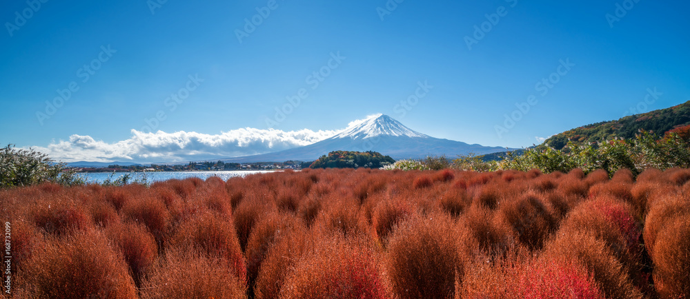 日本秋色富士山