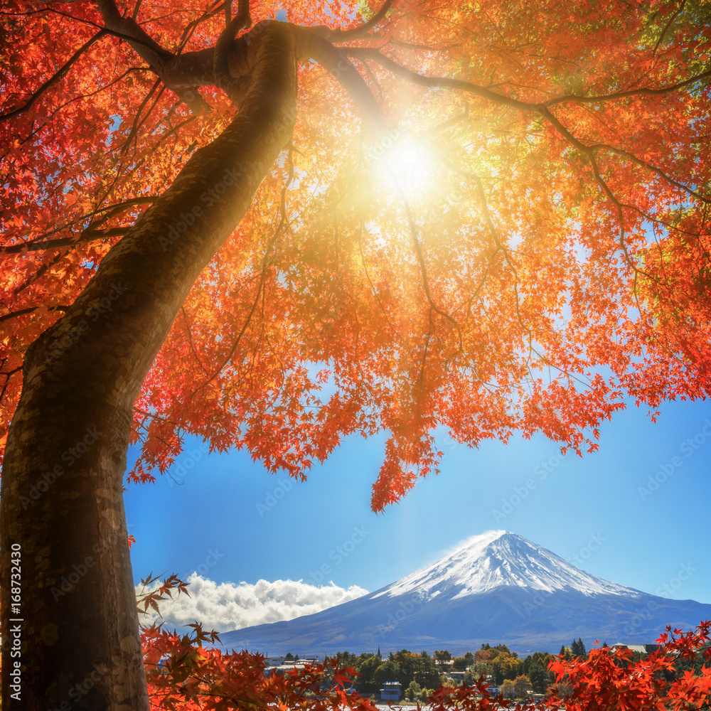 秋天的富士山，日本