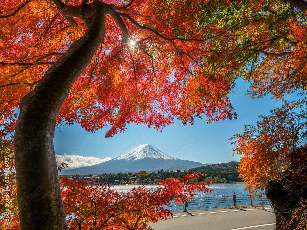 秋色富士山，日本