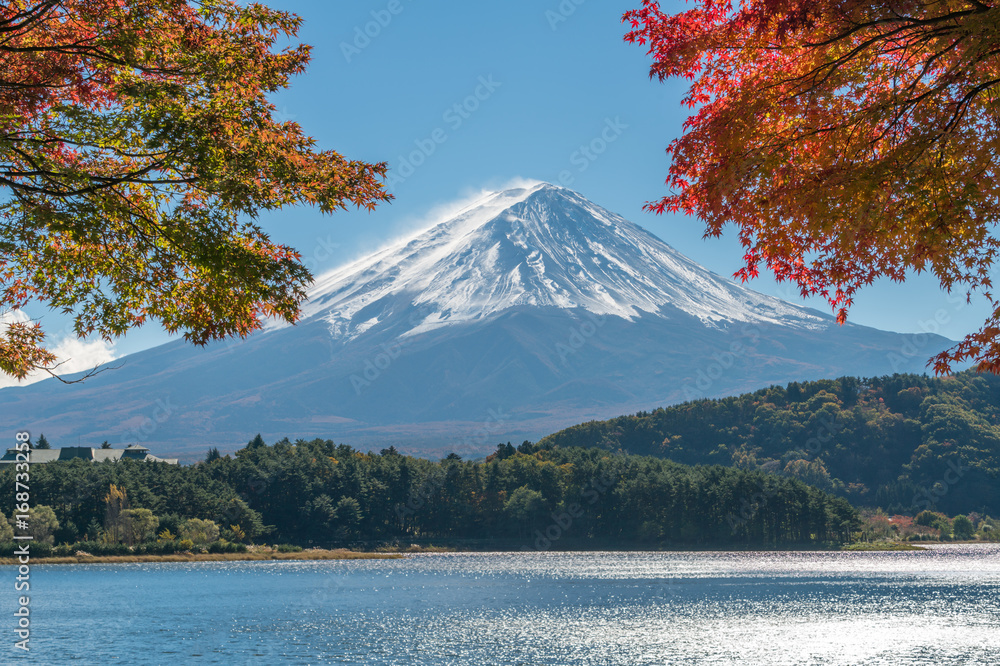 日本秋色富士山