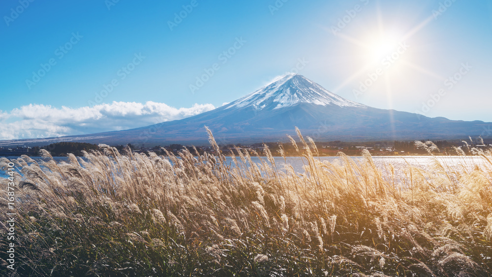 日本秋色富士山