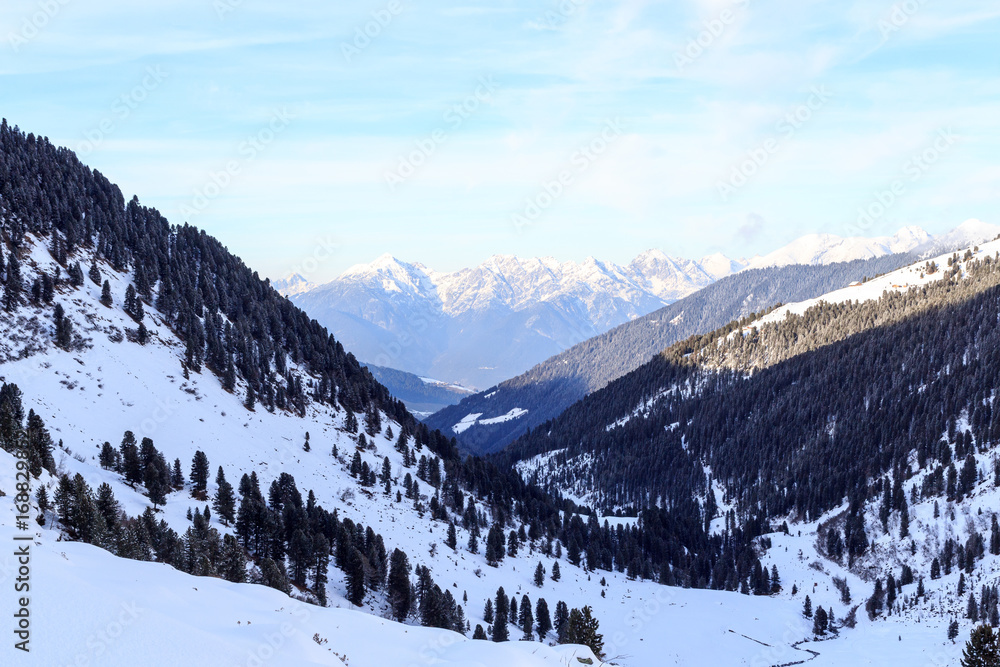 奥地利斯塔拜阿尔卑斯山冬季积雪的山脉全景和树木