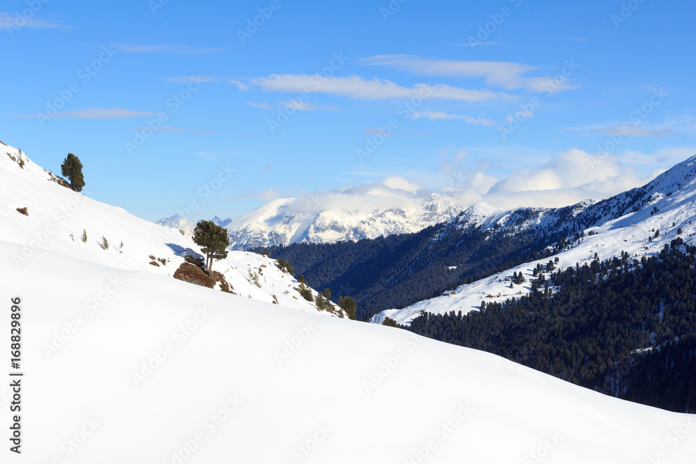 奥地利斯塔拜阿尔卑斯山冬季有雪、树和蓝天的山脉全景