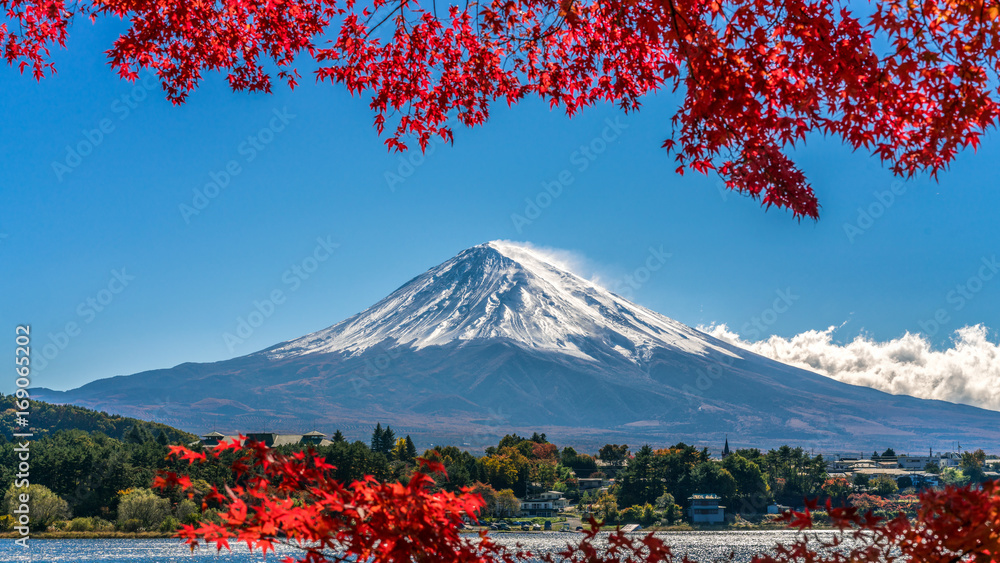 日本秋色富士山