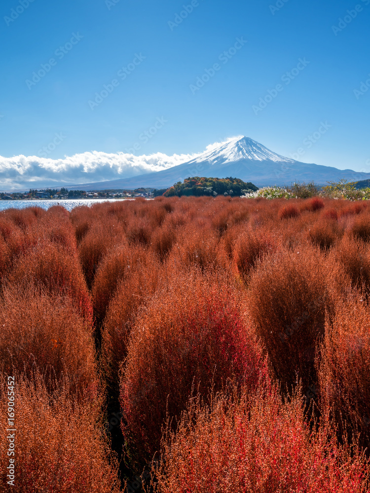 日本秋色富士山